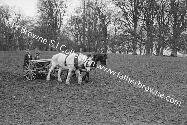 SOWING OATS BY MACHINE DAIRY HILL